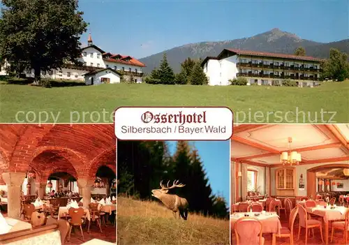 AK / Ansichtskarte Silbersbach Osserhotel Restaurant Wild Hirsch Silbersbach