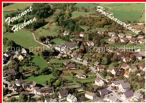 AK / Ansichtskarte Hesborn_Hallenberg Ferienort im Hochsauerland 