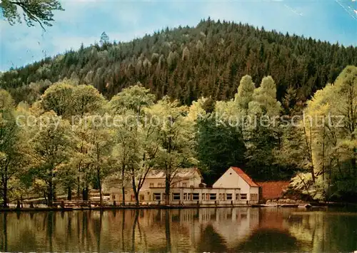 AK / Ansichtskarte Bad_Duerkheim Forellenhaus Isenach Cafe Restaurant Waldsee Pfaelzer Wald Bad_Duerkheim