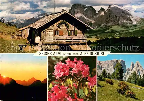 AK / Ansichtskarte Seiser_Alm_1700m_Dolomiten Alpe di Siusi Dolomiti Schlerngebiet Alpenflora 