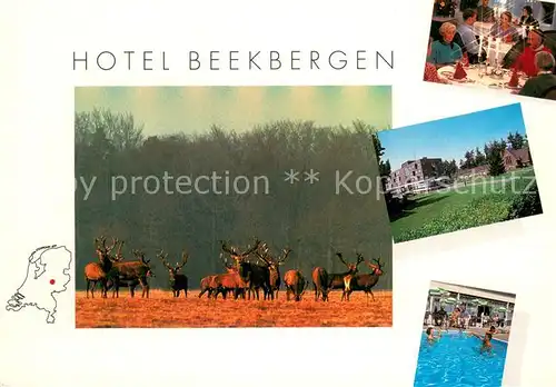 AK / Ansichtskarte Beekbergen_NL EurOase Hotel Restaurant Hallenbad Wild Hirsche 