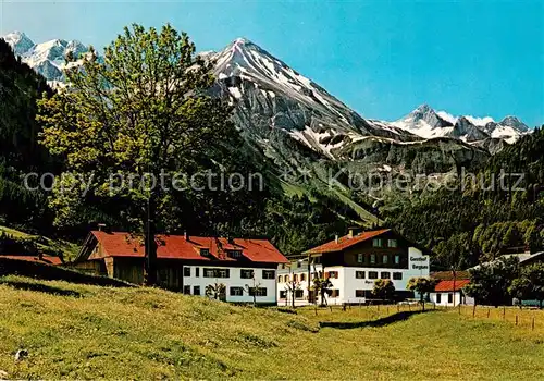 AK / Ansichtskarte Birgsau_Oberstdorf Steinschartenkopf   Wilder Mann   Rothgrundspitze 