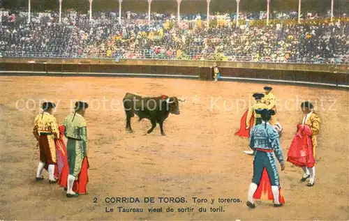 AK / Ansichtskarte Stierkampf_Corrida_de_Toros_Bullfight Corrida de Toros 