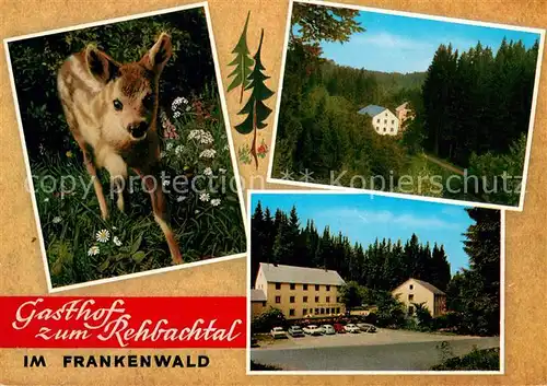 AK / Ansichtskarte Grafengehaig Gasthof zum Rehbachtal Rehkitz Grafengehaig