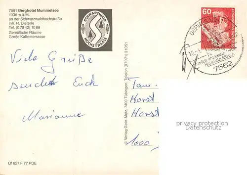 AK / Ansichtskarte Mummelsee Berghotel Mummelsee Gondelpartie Terrasse Seeufer Mummelsee