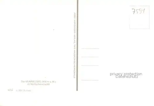 AK / Ansichtskarte Mummelsee Berghotel Mummelsee Bootspartie Mummelsee