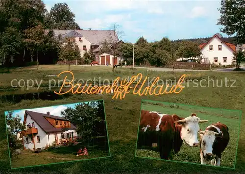AK / Ansichtskarte Muenchberg__Oberfranken Bauernhof Urlaub Heidi Stroessner 