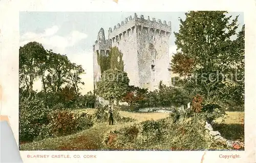 AK / Ansichtskarte Cork_Ireland Blarney Castle 