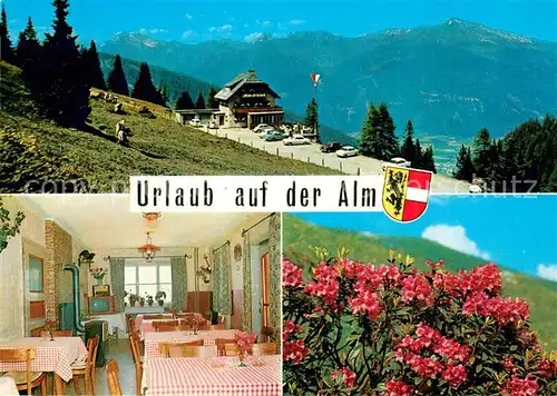 AK / Ansichtskarte St_Michael_Lungau Panorama Alpengasthof Pension Almfried Gaststube Alpenflora St_Michael_Lungau