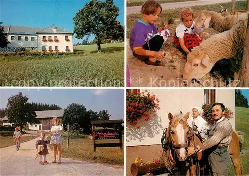 AK / Ansichtskarte Liebenau_Oberoesterreich Bauernhof Teilansichten Liebenau_Oberoesterreich