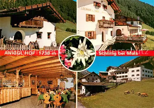 AK / Ansichtskarte Schlinig_Mals_Suedtirol Aniggl Hof Terrasse Gastraum Schlinig_Mals_Suedtirol