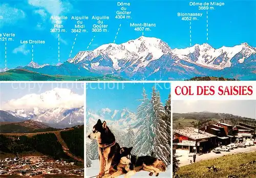 AK / Ansichtskarte Col des Saisies_73_Savoie Panorama Schaeferhunde Hotel 