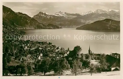 AK / Ansichtskarte Weggis_Vierwaldstaettersee mit Alpenpanorama Weggis_Vierwaldstaettersee