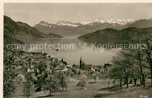 AK / Ansichtskarte Weggis_Vierwaldstaettersee Panorama Weggis_Vierwaldstaettersee