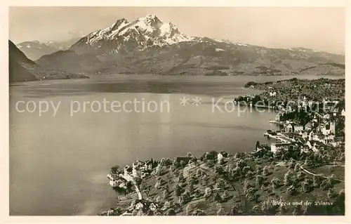 AK / Ansichtskarte Weggis_Vierwaldstaettersee und der Pilatus Weggis_Vierwaldstaettersee