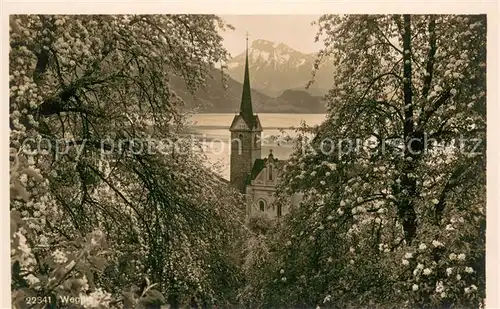 AK / Ansichtskarte Weggis_Vierwaldstaettersee Kirche Weggis_Vierwaldstaettersee