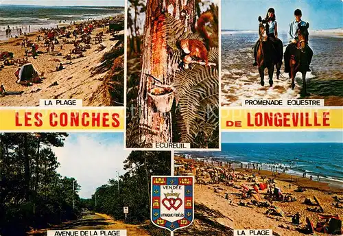 AK / Ansichtskarte Longeville sur Mer La plage les Conches Promenade de Longeville Avenue de la plage Longeville sur Mer