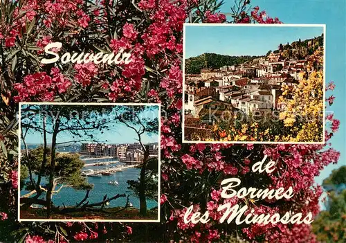 AK / Ansichtskarte Bormes les Mimosas_83_Var Prix des Villages fleuris de France Port 