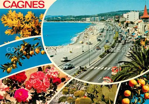 AK / Ansichtskarte Cagnes sur Mer_06 La plage de Cros Fleurs Fruits 