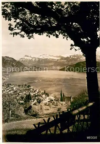 AK / Ansichtskarte Weggis_Vierwaldstaettersee Panorama Weggis_Vierwaldstaettersee
