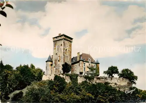 AK / Ansichtskarte Chateau_de_Pesteil_15_Canteil Aussenansicht d. Schlosses 