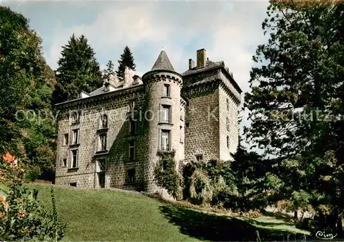 AK / Ansichtskarte Fontanges_15_Cantal Chateau de Palmont 