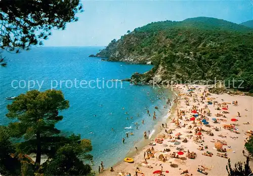 AK / Ansichtskarte Cavalaire sur Mer_83_Var Plage de Bon Porteau 