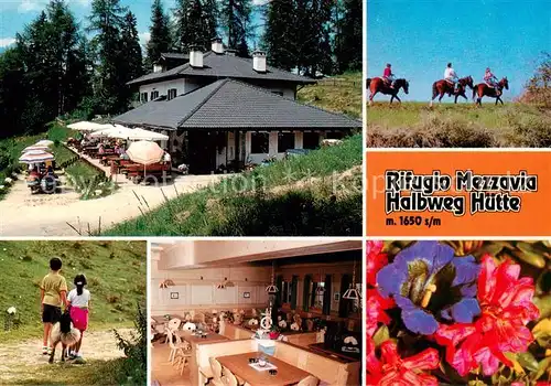 AK / Ansichtskarte Mendelpass_1363m_Passo_della_Mendola_IT Schutzhaus Halbweg Reiter Gastraum Terrasse  