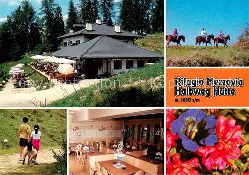 AK / Ansichtskarte Mendelpass_1363m_Passo_della_Mendola_IT Schutzhaus Halbweg Gastraum Reiter Terrasse 