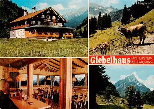 AK / Ansichtskarte Hinterstein_Bad_Hindelang Berggasthof Giebelhaus Landschaftspanorama Allgaeuer Alpen Hinterstein_Bad_Hindelang