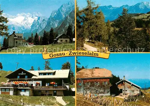 AK / Ansichtskarte Gosau_Salzkammergut_AT Zwieselalm Gablonzerhaus Breininghuette Dachsteingebirge 