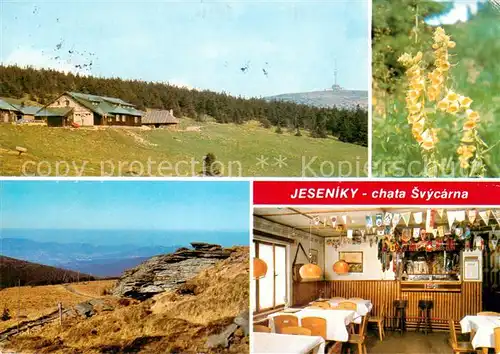 AK / Ansichtskarte Jeseniky_Freiwaldau_CZ Turisticka chata Svycarna na zapadnim svahu Maleho Deda 