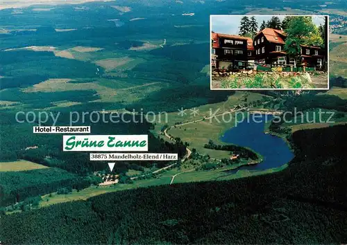 AK / Ansichtskarte Mandelholz_Harz Hotel Restaurant Gruene Tanne Mandelholz Harz