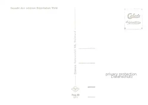 AK / Ansichtskarte Bodenmais mit Arber Schwimmbad mit Silberberg Riesloch Wasserfaelle Hochfall Ev und kath Kirche Hochzellblick auf Bodenmais Bodenmais