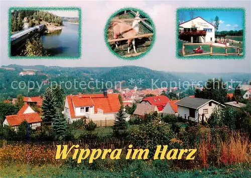 AK / Ansichtskarte Wippra Talsperre Streichelzoo Rodelbahn Panorama Wippra