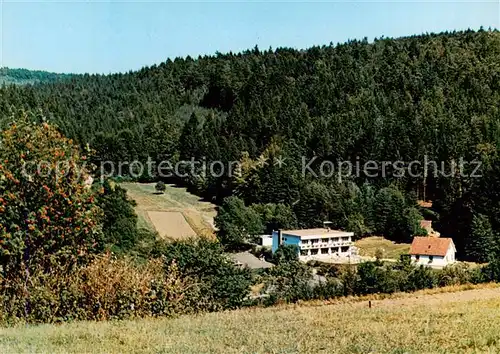 AK / Ansichtskarte Oberlohrgrund Hotel Restaurant Pension Immenhof Oberlohrgrund