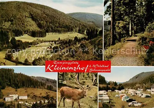 AK / Ansichtskarte Bad_Wildbad Gasthof Pension Kleinenzhof Hirsch Campingplatz Landschaftspanorama Schwarzwald Bad_Wildbad