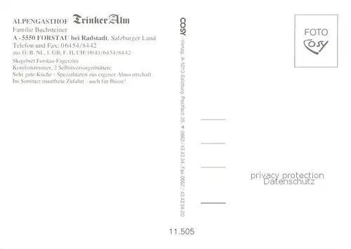 AK / Ansichtskarte Forstau_AT Alpengasthof Trinker Alm Alpvieh Alpenpanorama 