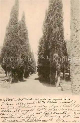 AK / Ansichtskarte Tivoli__Roma_IT Veduta del viale dei cipressi nella Villa Adriana 