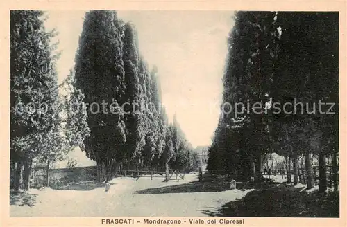 AK / Ansichtskarte Frascati_Roma__Rom_IT Mondragone Viale dei Cipressi 