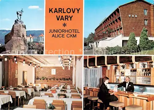 AK / Ansichtskarte Karlovy_Vary_Karlsbad Juniorhotel Alice CKM Hirschsprung 
