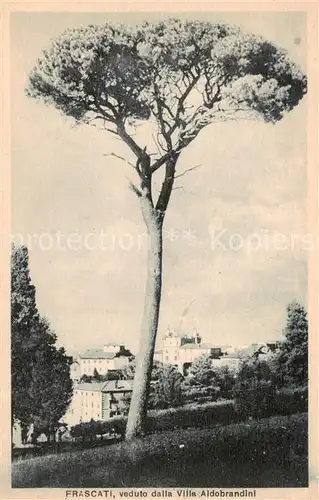AK / Ansichtskarte Frascati_Roma__Rom_IT Veduto dalla Villa Aldobrandini 