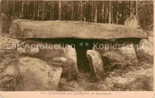 AK / Ansichtskarte Suedbostel_Fallingbostel_Bad Huenengrab 