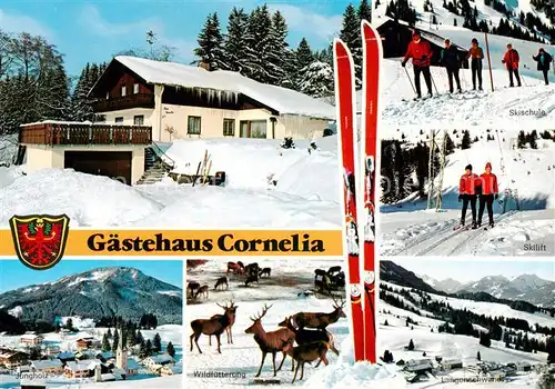 AK / Ansichtskarte Jungholz_Tirol_AT Gaestehaus Cornelia Skilift Panorama Wildfuetterung 