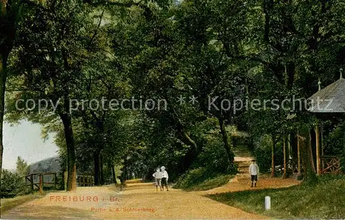 AK / Ansichtskarte Freiburg_Breisgau Partie a. d. Schlossberg Freiburg Breisgau