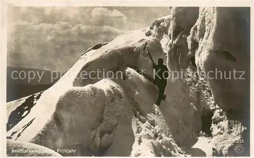 AK / Ansichtskarte Feldberg_1450m_Schwarzwald Seebuckwaechter im Fruehjahr 