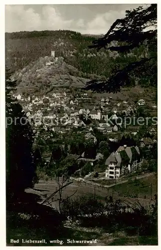 AK / Ansichtskarte Bad_Liebenzell Gesamtansicht Bad_Liebenzell