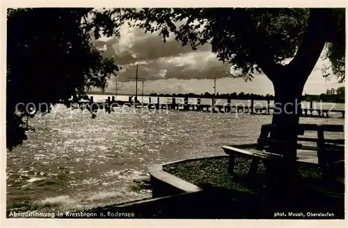 AK / Ansichtskarte Kressbronn_Bodensee Abendstimmung am Bodensee Kressbronn Bodensee