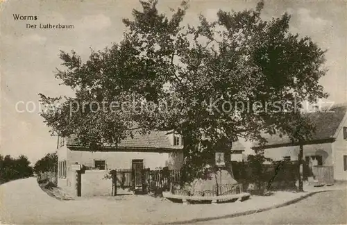 AK / Ansichtskarte Worms_Rhein Der Lutherbaum Worms Rhein