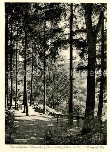 AK / Ansichtskarte Marienberg_Westerwald Partie an der Marienquelle Hoehenluftkurort Marienberg_Westerwald